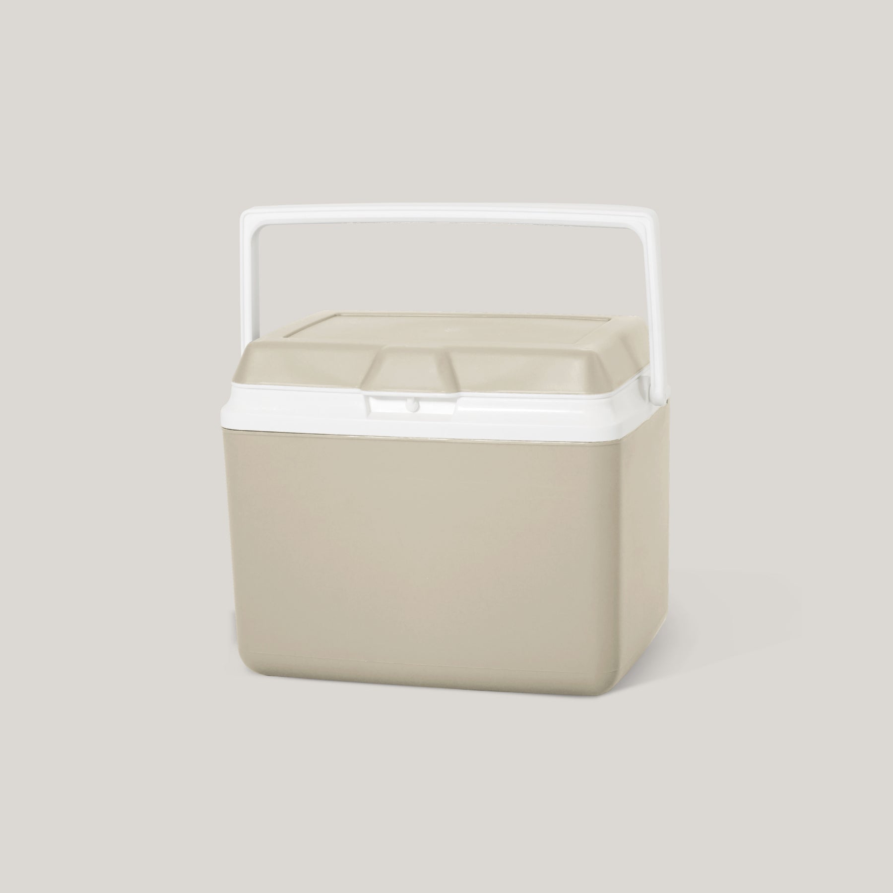 Kmart store ice box